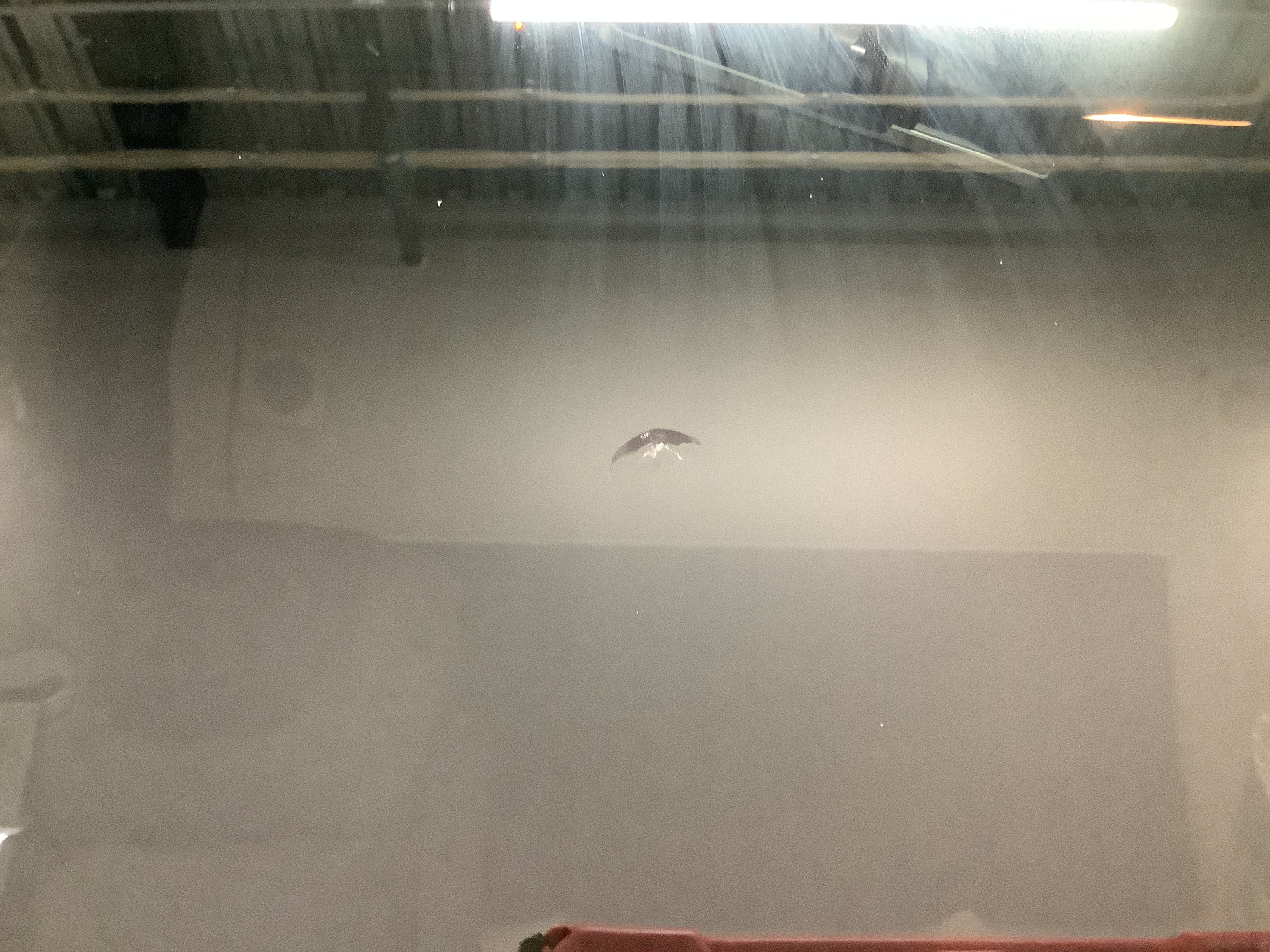 vehicle_image_20260519143445GCfCSQIlGg.jpg